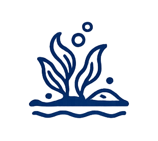 바다숲 조성